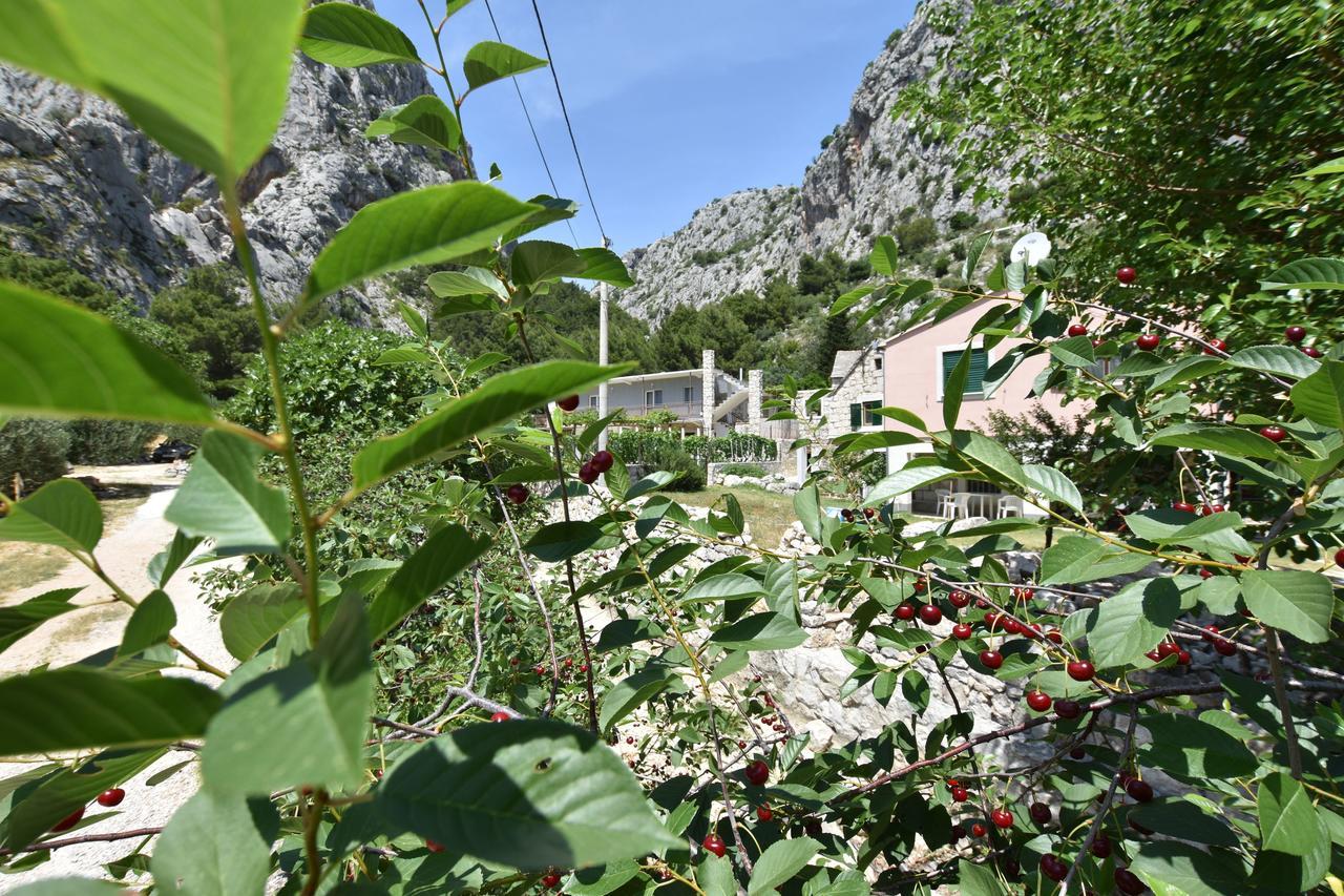 Apartment Petea Omiš Zewnętrze zdjęcie
